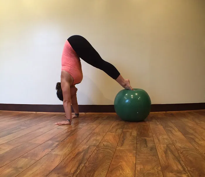 Marlborough Pilates Studio Plus Picture 5