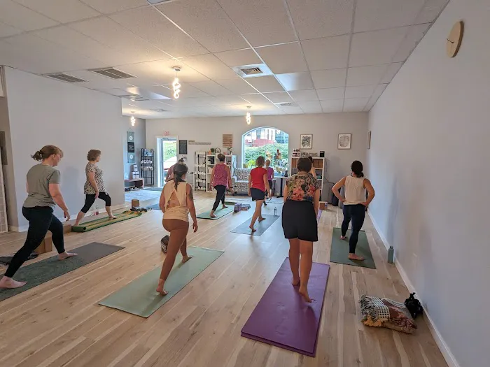 Twisted Dog Yoga Picture 5