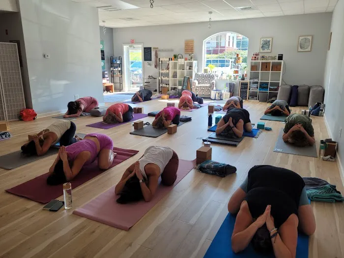 Twisted Dog Yoga Picture 2