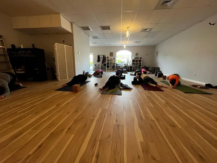 Twisted Dog Yoga Picture 9