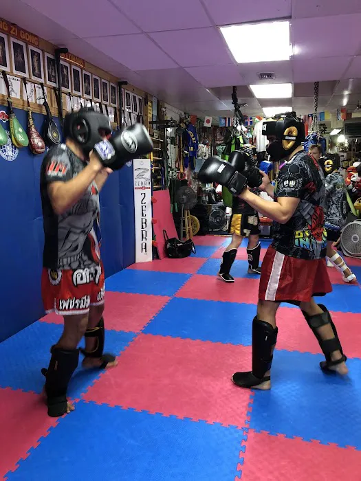 Martial Arts Gym Picture 5