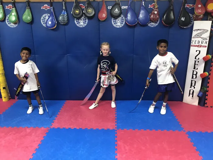 Martial Arts Gym Picture 6