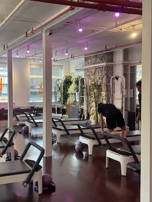 Body Evolutions Chelsea Picture 4