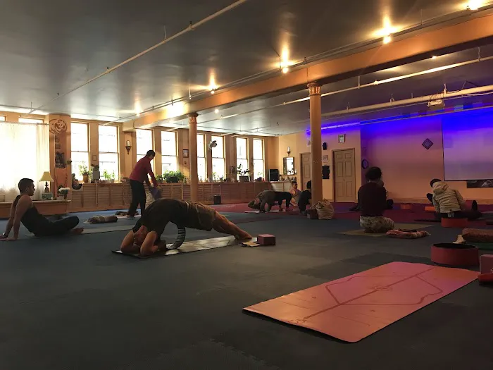 Dharma Yoga Center Picture 2