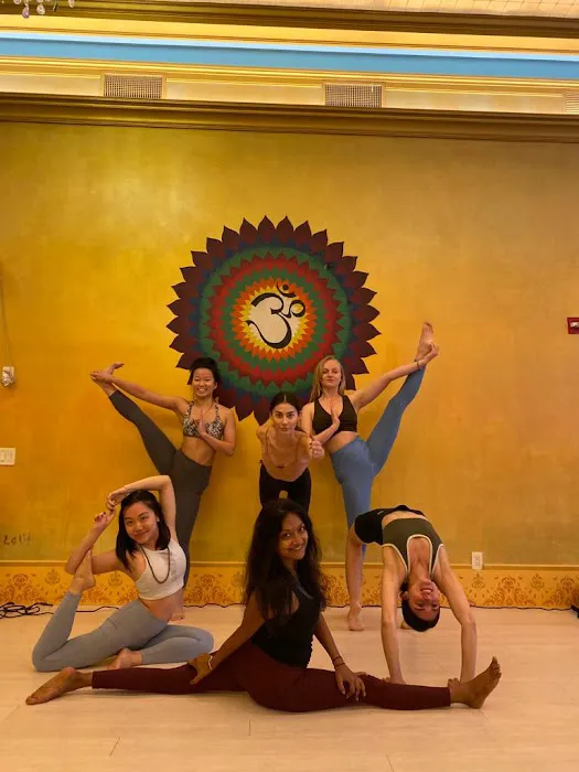 Dharma Yoga Center Picture 4