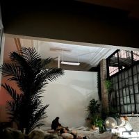 Yoga Space Greenpoint ico