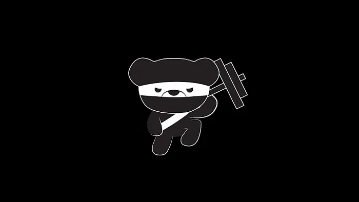 NinjaBear NYC Picture 3