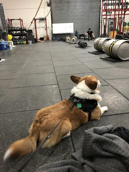 Dutch Kills Fitness Picture 1