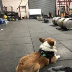 Dutch Kills Fitness