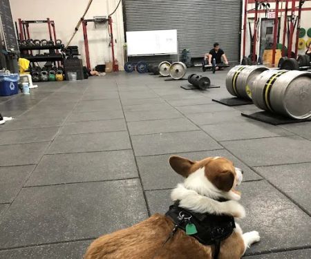 Dutch Kills Fitness