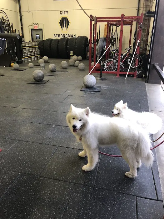 Dutch Kills Fitness Picture 3