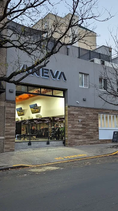 Aneva Picture 2