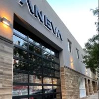 Aneva ico