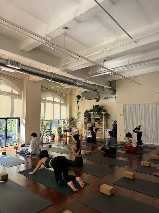 Yoga Space LIC Picture 2