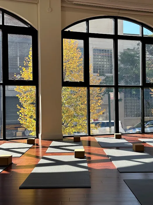 Yoga Space LIC Picture 5