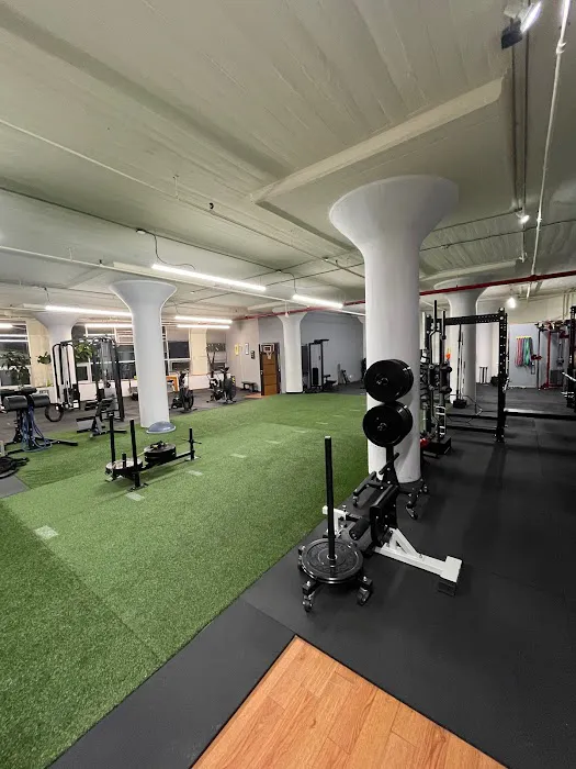 Nicely Fit Co. Picture 5