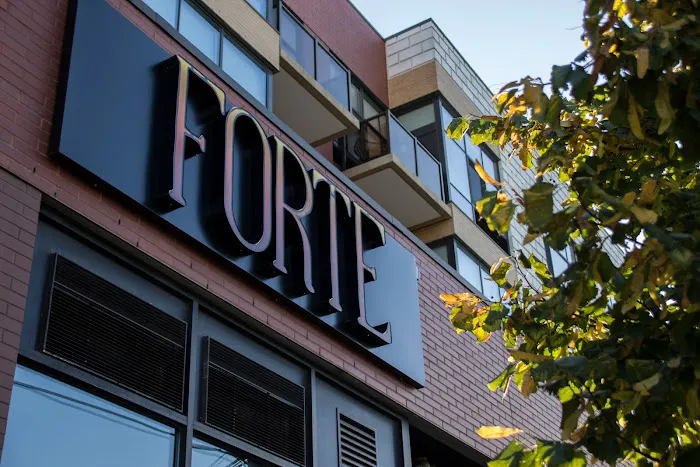 Forte Lab Picture 1