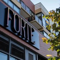 Forte Lab ico