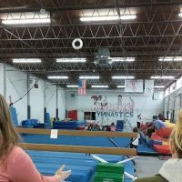 All American Gymnastics and Totnastics Too ico