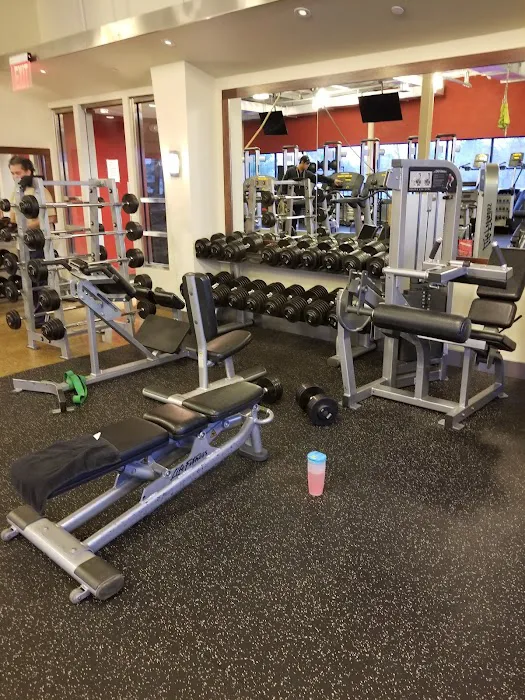 The Fitness Loft Manhasset Picture 2