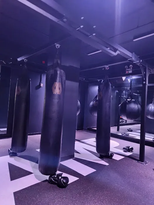 Mayweather Boxing + Fitness Tribeca Picture 4