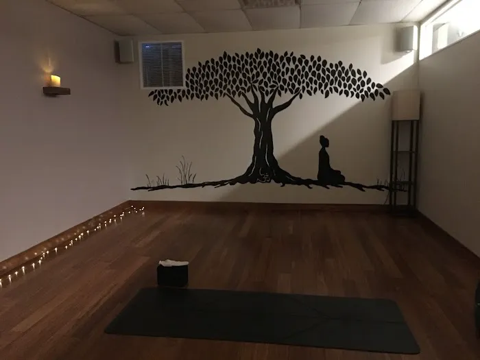 Flow Yoga Studio Picture 1