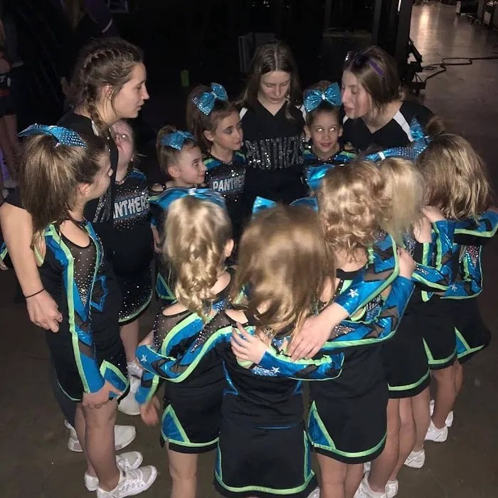 Panther Allstar Cheer Picture 3