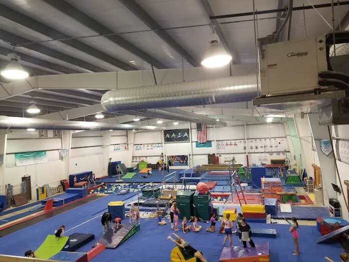 All Around Gymnastics Picture 2