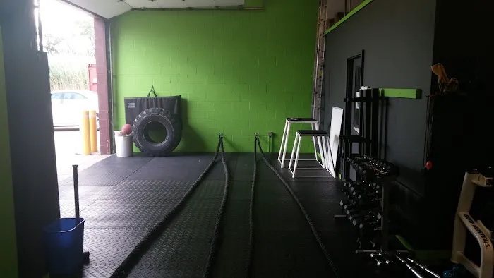 Elite Sports Performance Picture 1