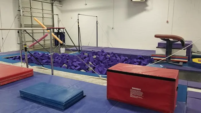 Renzi Gymnastics Academy Picture 10
