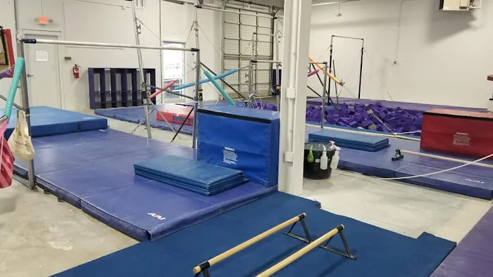 Renzi Gymnastics Academy Picture 2