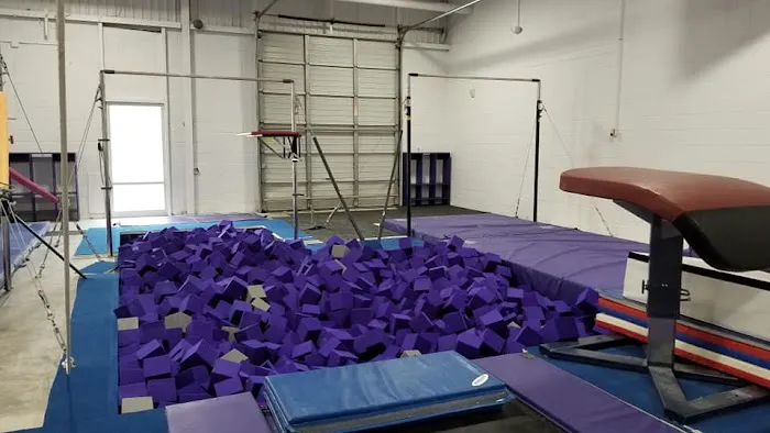 Renzi Gymnastics Academy Picture 4