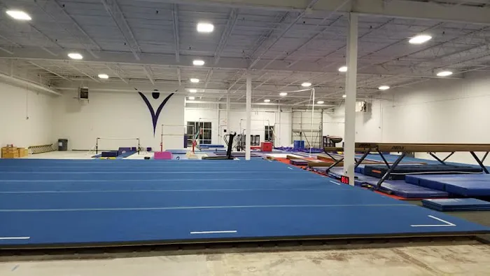 Renzi Gymnastics Academy Picture 8