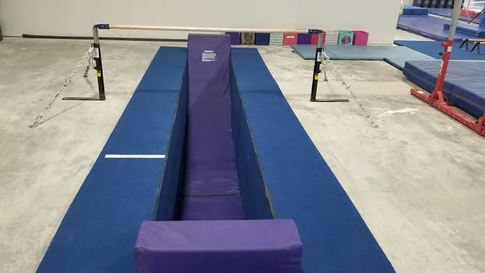 Renzi Gymnastics Academy Picture 7