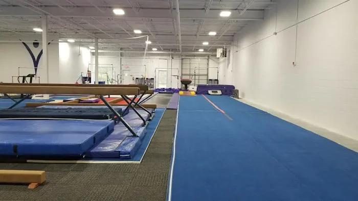 Renzi Gymnastics Academy Picture 6