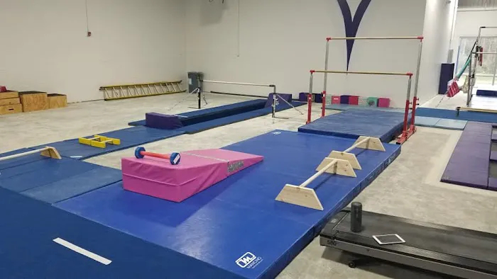 Renzi Gymnastics Academy Picture 5