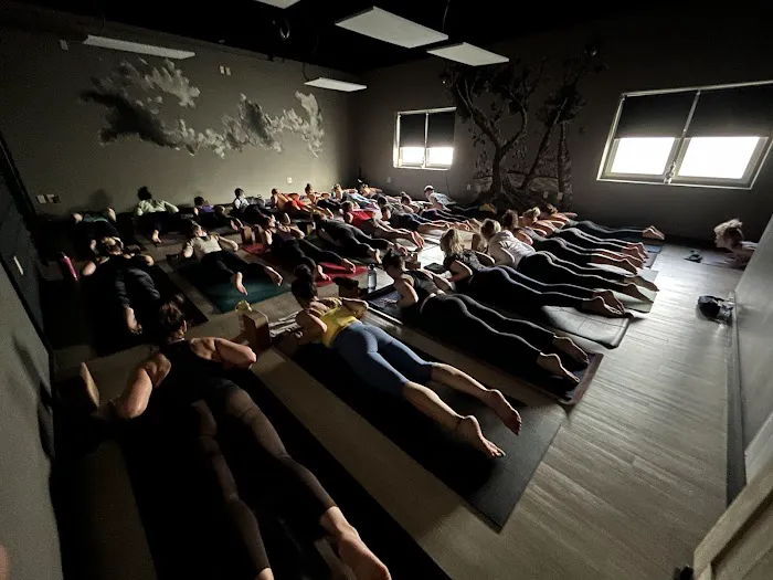 Yoga Bar and Café Picture 5