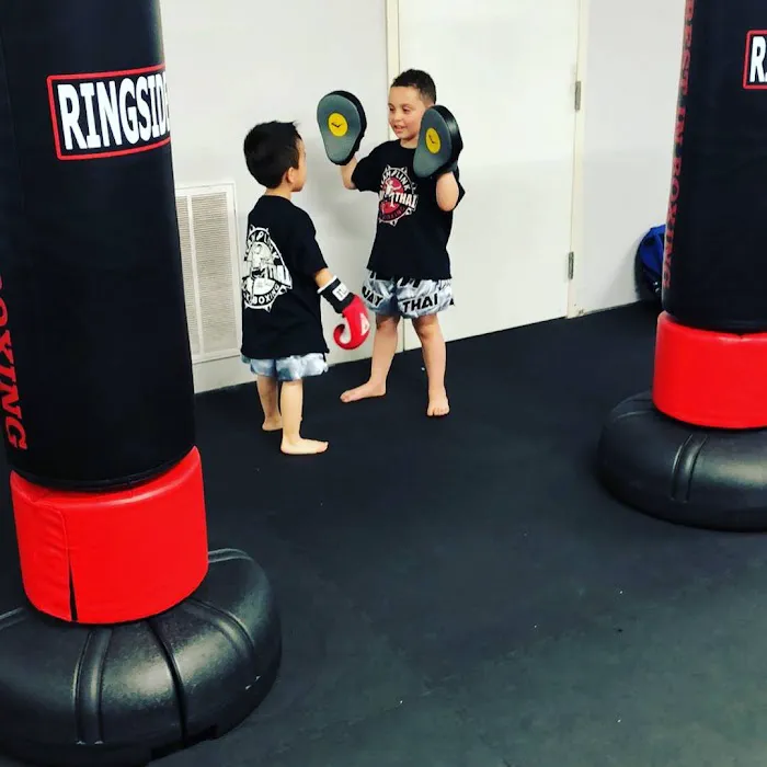 Team Link Muay Thai Picture 2