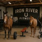 Iron River Fitness
