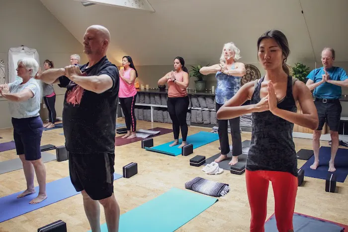 Revolution Community Yoga Picture 1
