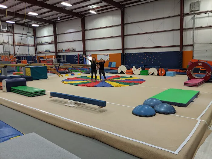 Donoma Gymnastics Picture 4