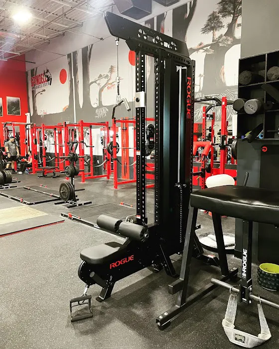 Spindell Barbell Club Picture 4