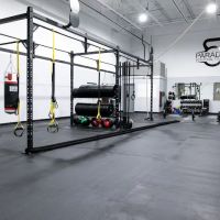 Paradox Strength and Conditioning ico