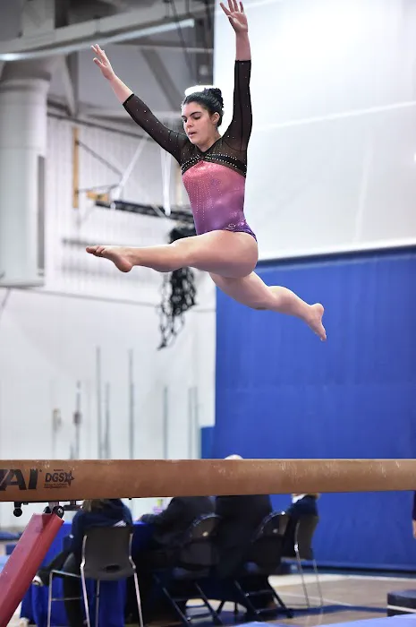 Planet Gymnastics Picture 5
