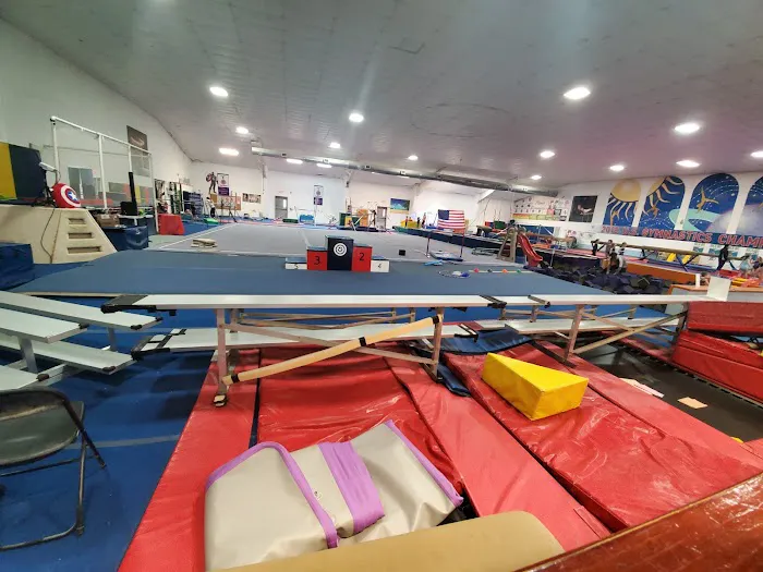 Planet Gymnastics Picture 3