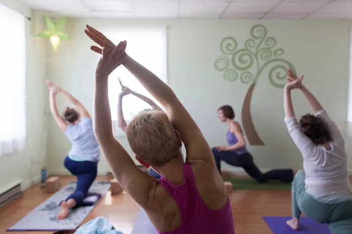 Spiral Tree Yoga - Aleksandra Townsend Picture 7