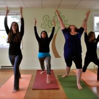 Spiral Tree Yoga - Aleksandra Townsend ico