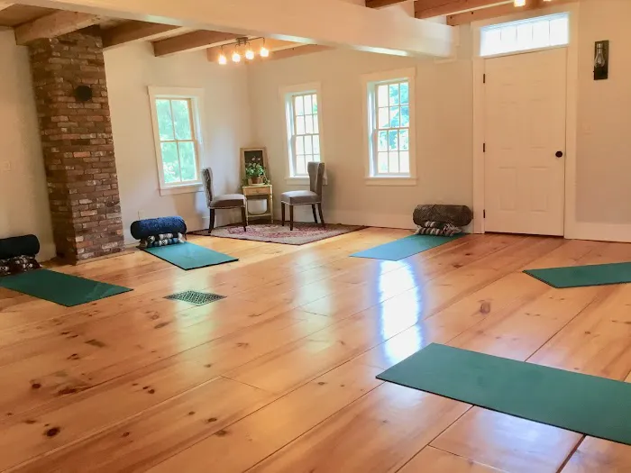 Integrative Yoga Studio Picture 1