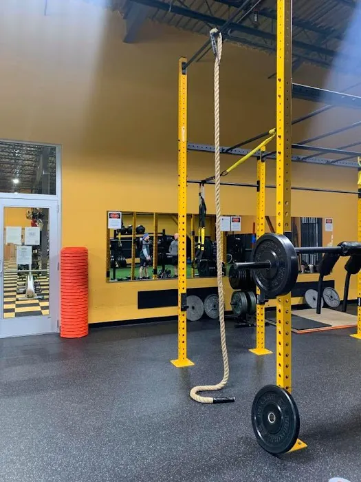 The Zoo Health Club- Epping NH Picture 4