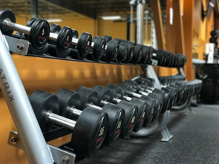 The Zoo Health Club- Epping NH Picture 9